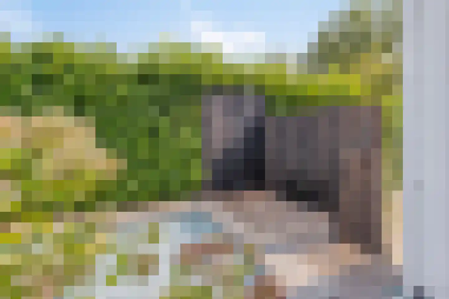Oude Rielseweg 1 Tilburg thumbnail 58