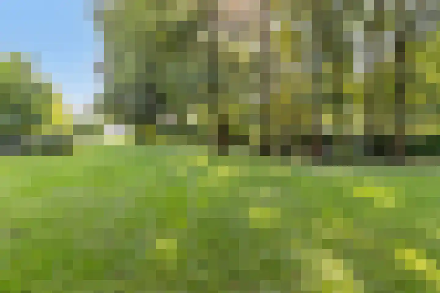 Oude Rielseweg 1 Tilburg thumbnail 71