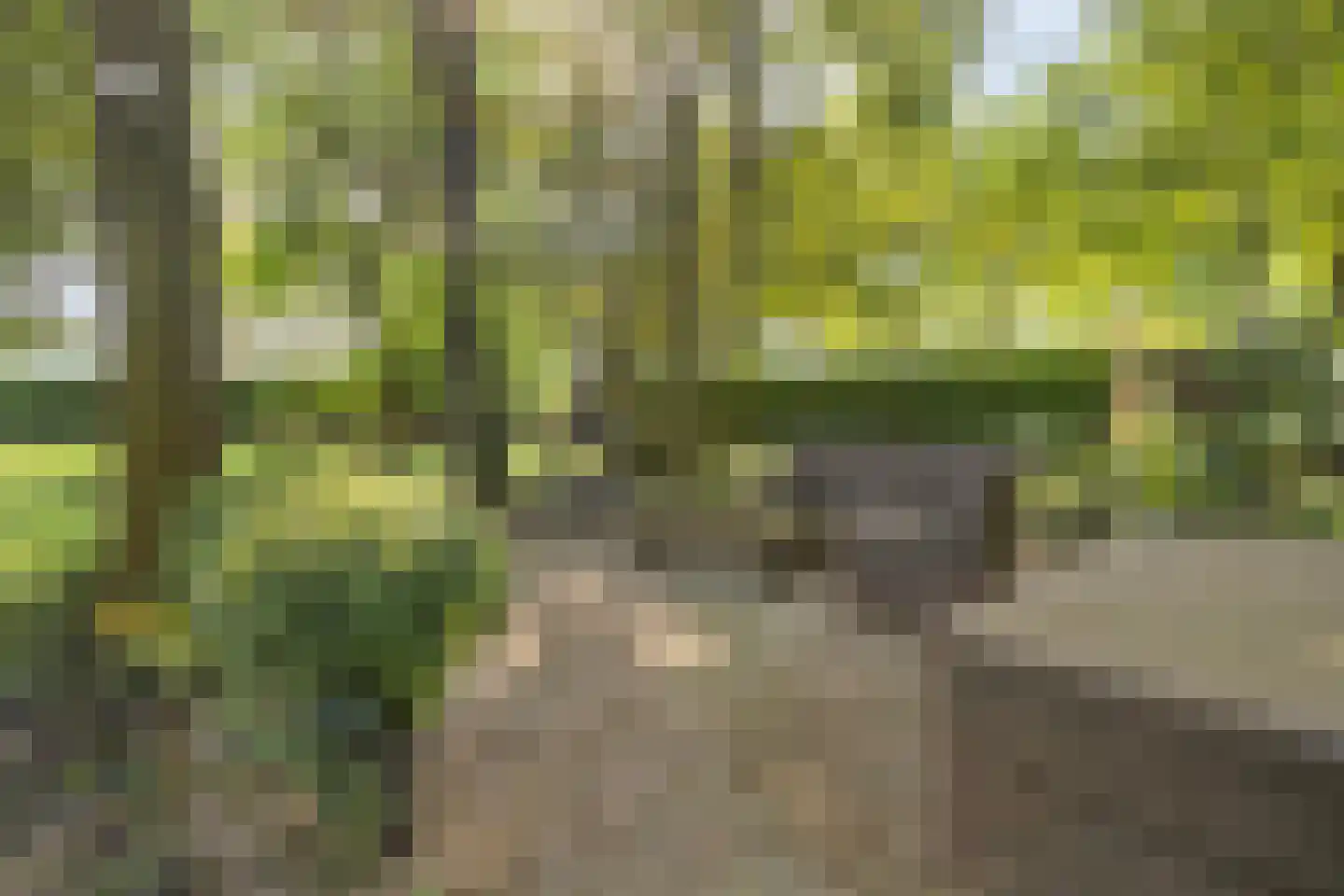 Oude Rielseweg 1 Tilburg thumbnail 72