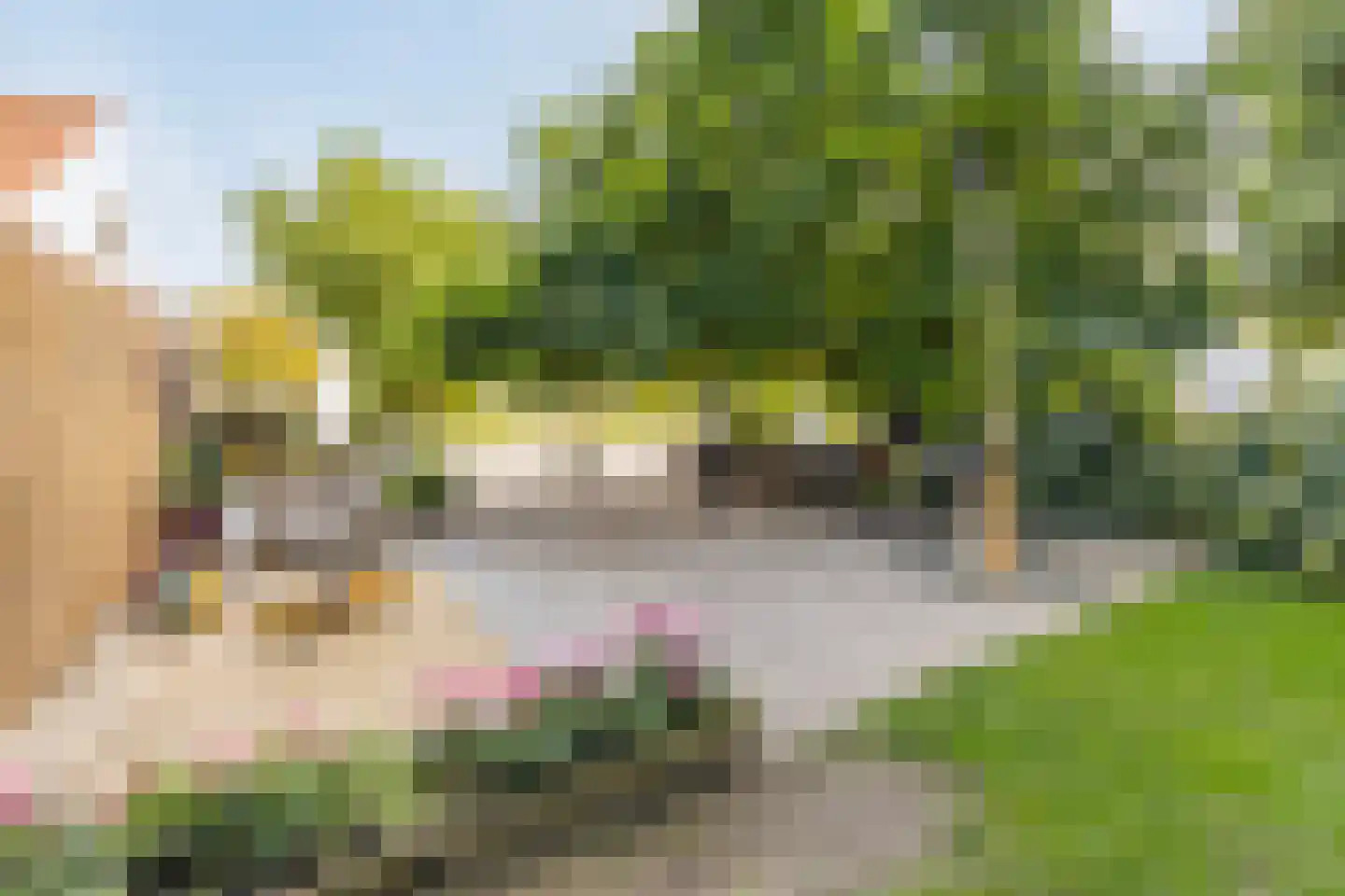 Oude Rielseweg 1 Tilburg thumbnail 73