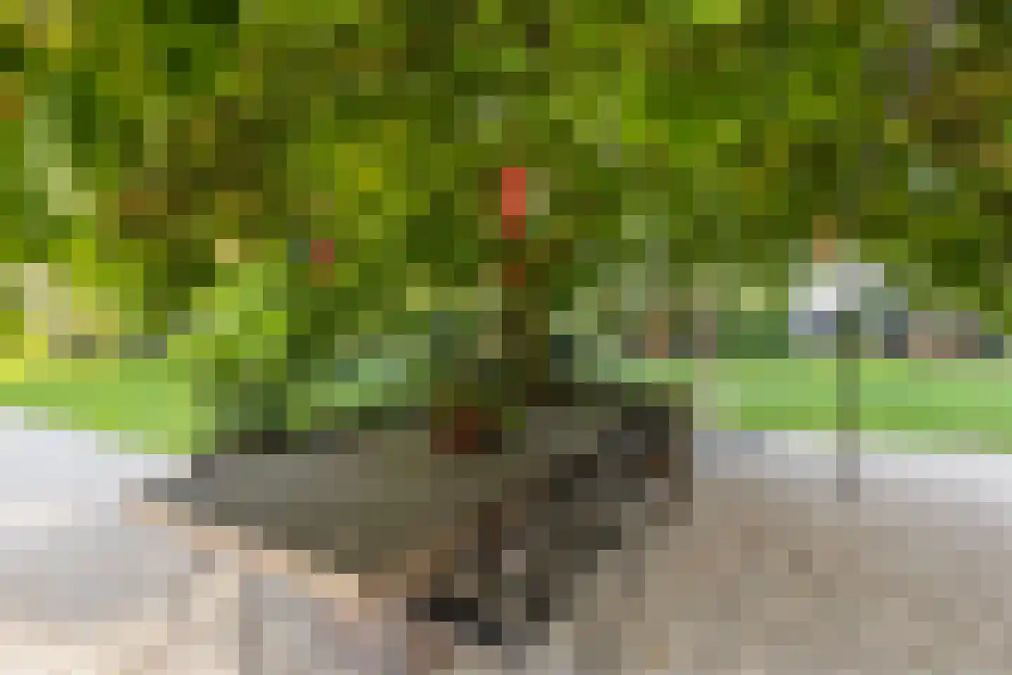 Oude Rielseweg 1 Tilburg thumbnail 74