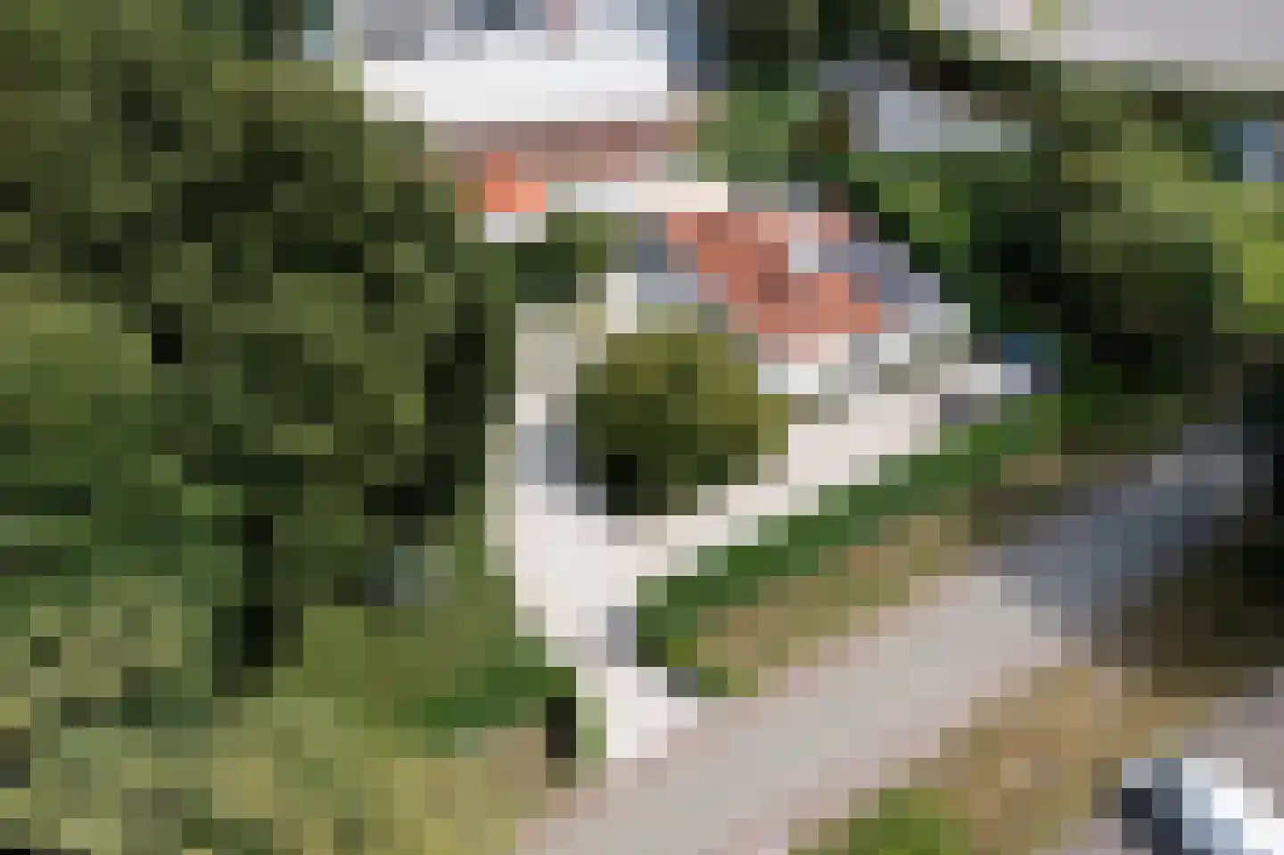 Oude Rielseweg 1 Tilburg thumbnail 78