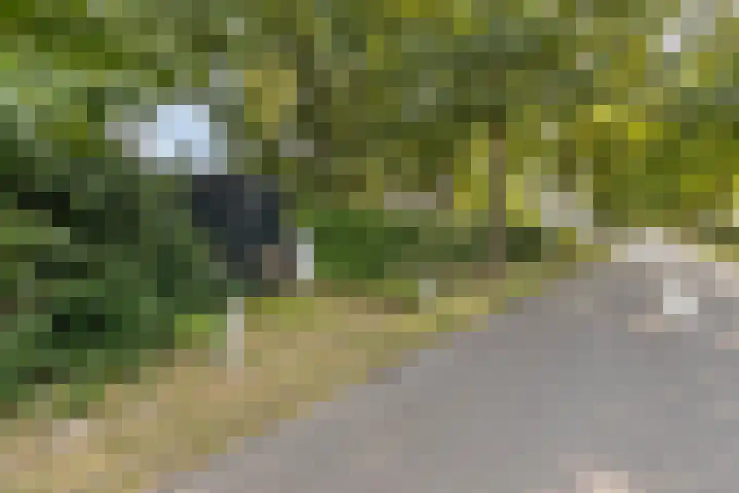 Oude Rielseweg 1 Tilburg thumbnail 85