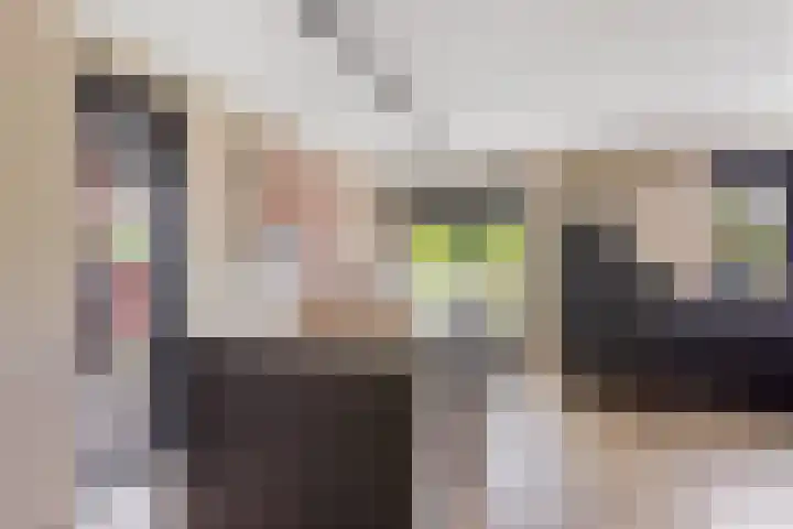 Oude Rietkamp 35 Borne thumbnail 10