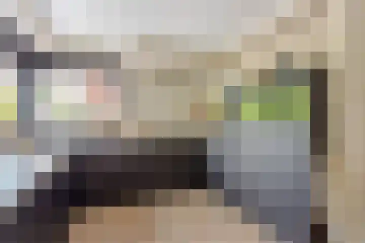 Oude Rietkamp 35 Borne thumbnail 12