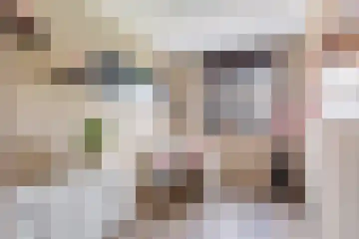 Oude Rietkamp 35 Borne thumbnail 13