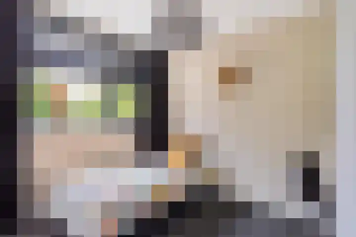 Oude Rietkamp 35 Borne thumbnail 19