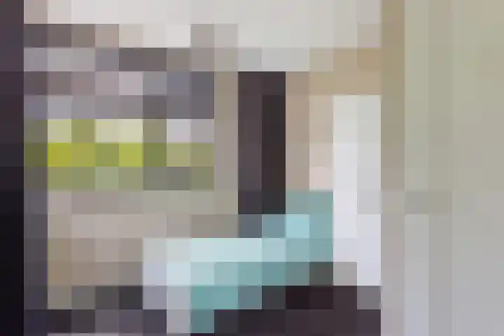 Oude Rietkamp 35 Borne thumbnail 20