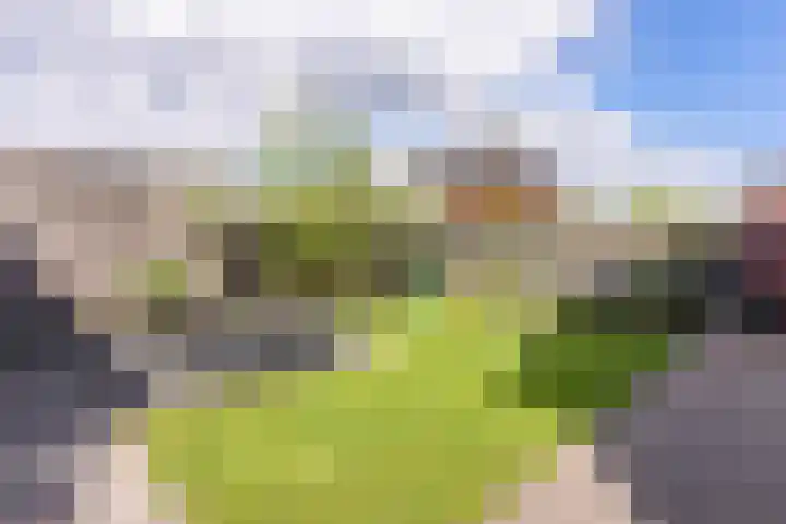 Oude Rietkamp 35 Borne thumbnail 23
