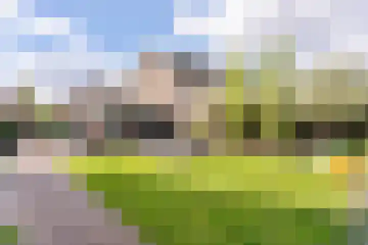 Oude Rietkamp 35 Borne thumbnail 24