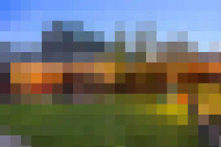 Oude Rietkamp 35 Borne thumbnail 27