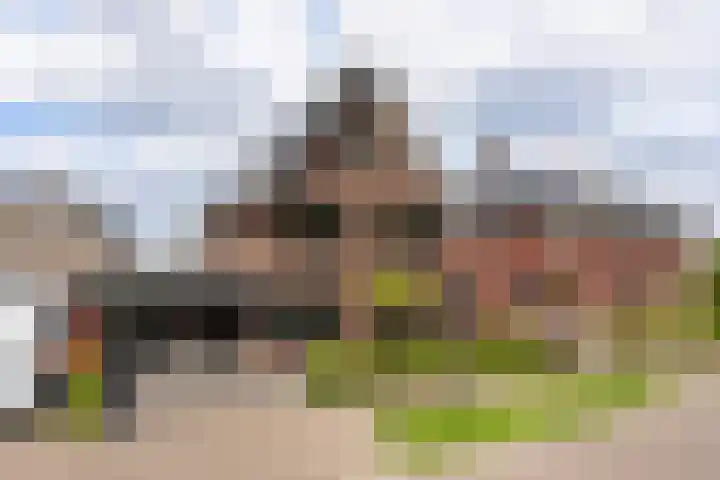 Oude Rietkamp 35 Borne thumbnail 4