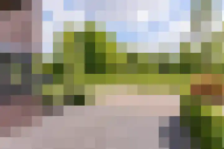 Oude Rietkamp 35 Borne thumbnail 5