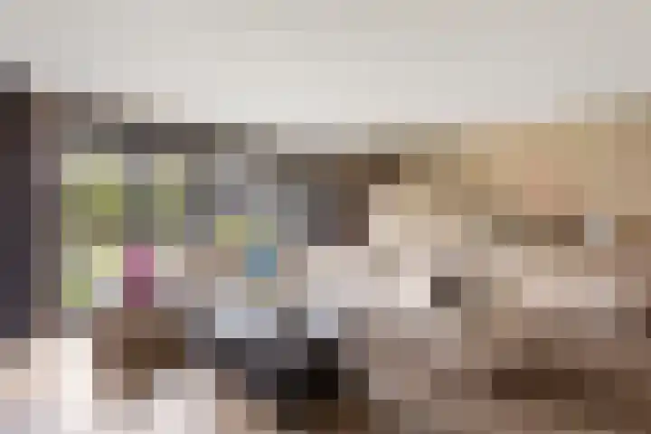 Oude Rietkamp 35 Borne thumbnail 6