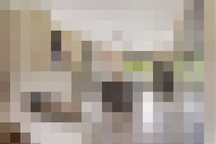 Oude Rietkamp 35 Borne thumbnail 9