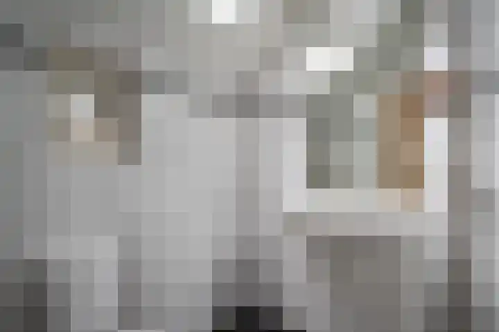 Oude Rijksweg 14 Staphorst thumbnail 16