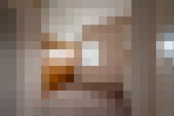 Oude Rijksweg 14 Staphorst thumbnail 22