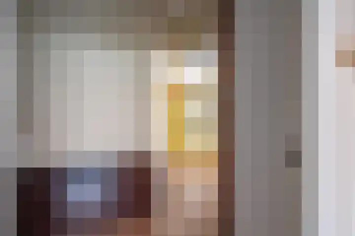 Oude Rijksweg 14 Staphorst thumbnail 30