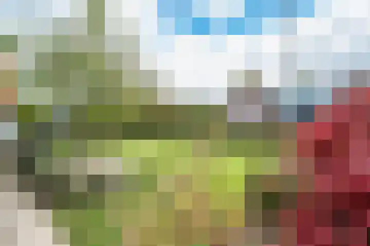 Oude Rijksweg 14 Staphorst thumbnail 40