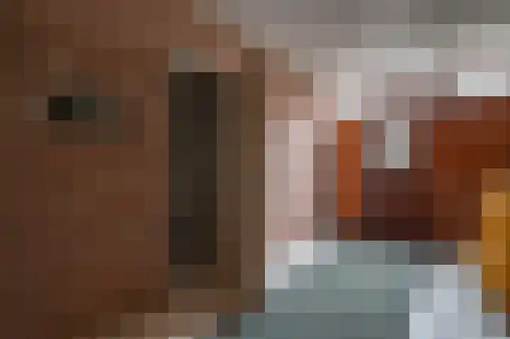 Oude Rijksweg 14 Staphorst thumbnail 6