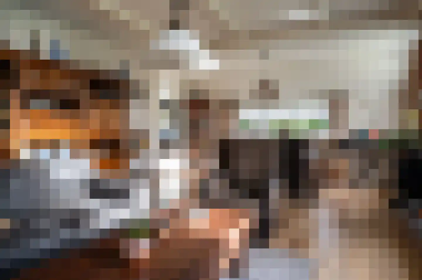 Oude Rijksweg 30 Staphorst thumbnail 5