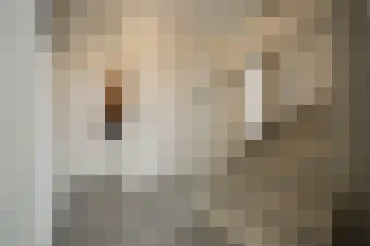 Oude School 2 Liessel thumbnail 4