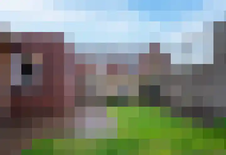 Oude School 2 Liessel thumbnail 44