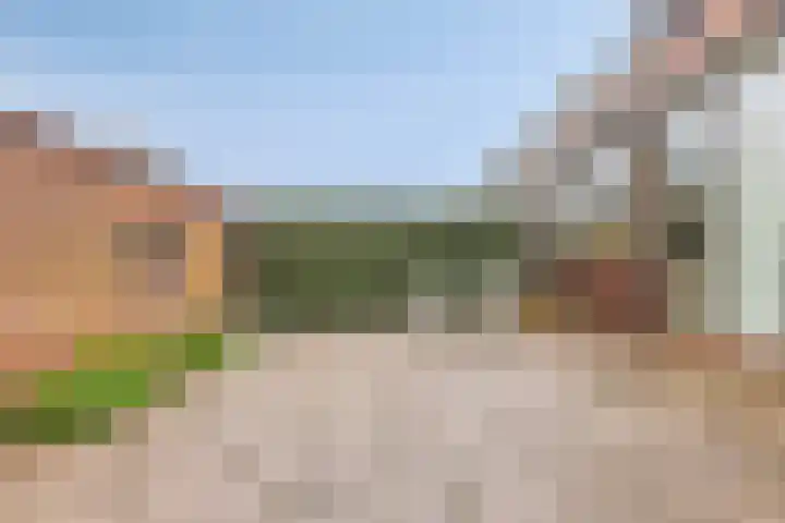 Oude Singel 13 Oudewater thumbnail 16