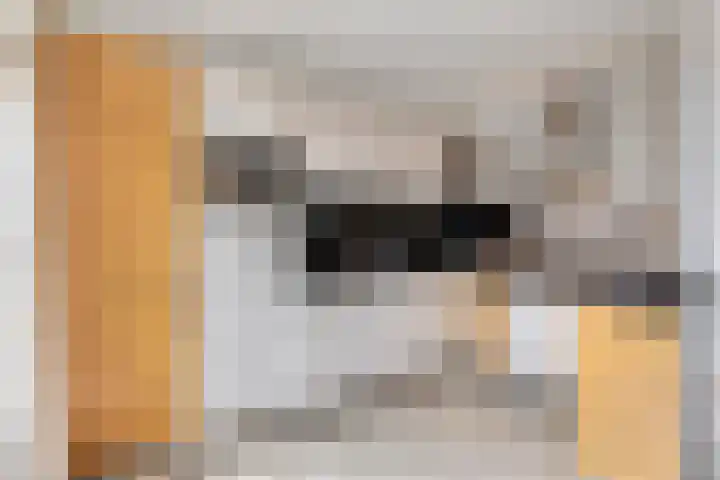 Oude Singel 13 Oudewater thumbnail 9