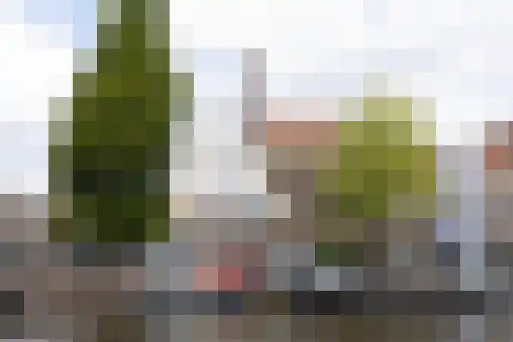 Oude Singel 130 Leiden