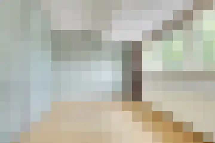 Oude Singel 2 Oudewater thumbnail 27