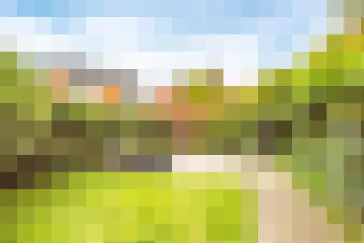 Oude Singel 2 Oudewater thumbnail 38