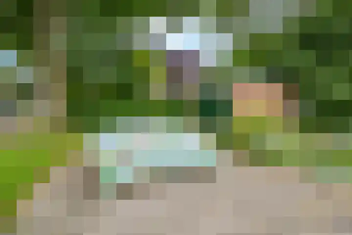 Oude Singel 2 Oudewater thumbnail 44