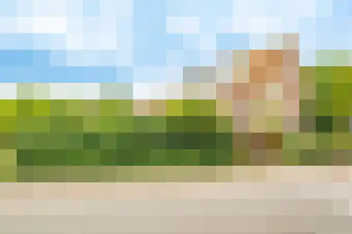 Oude Singel 2 Oudewater thumbnail 47