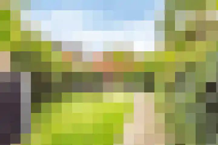 Oude Singel 2 Oudewater thumbnail 5