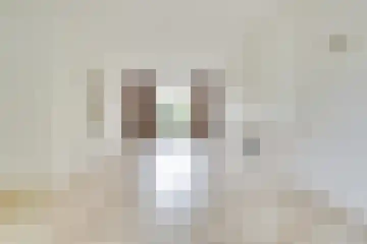 Oude Singel 2 Oudewater thumbnail 8