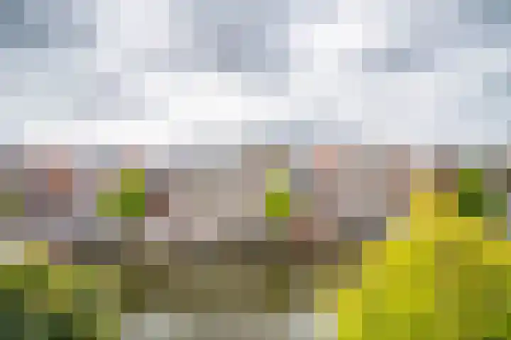 Oude Singel 272 Leiden thumbnail 22