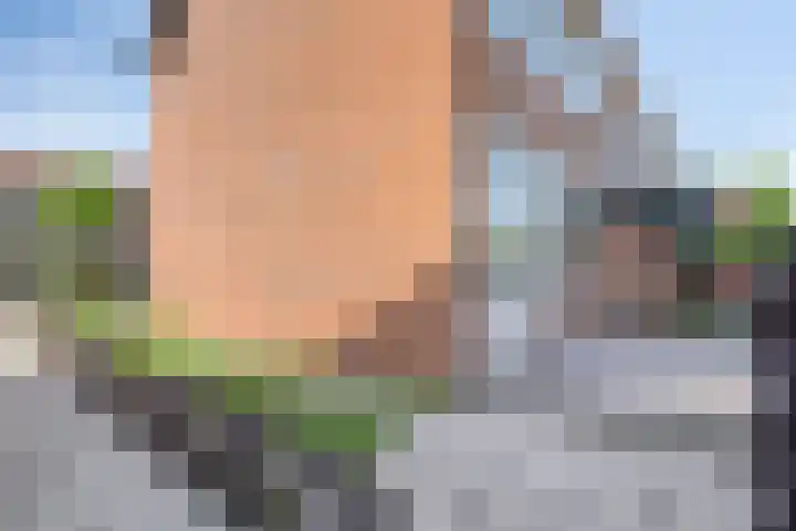Oude Singel 33 Oudewater thumbnail 13