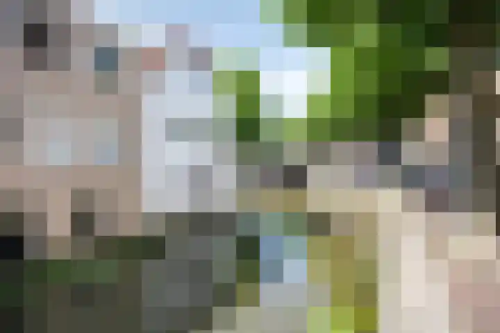 Oude Singel 33 Oudewater thumbnail 30