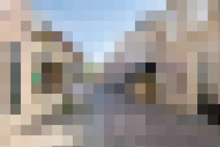 Oude Singel 33 Oudewater thumbnail 31