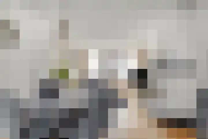 Oude Singel 33 Oudewater thumbnail 5