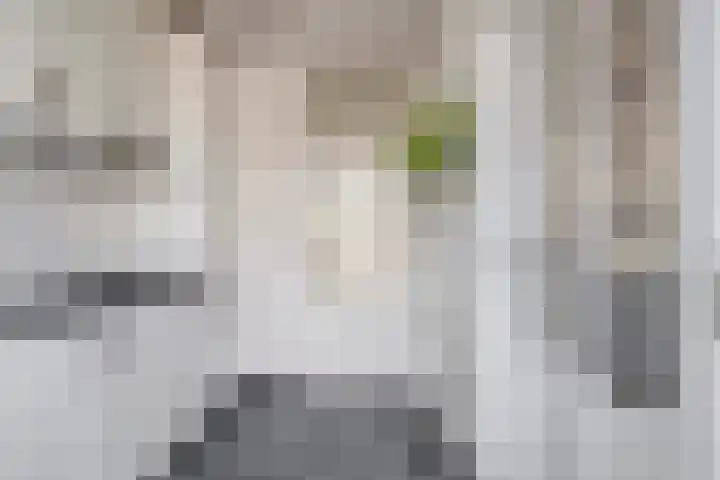 Oude Singel 33 Oudewater thumbnail 7