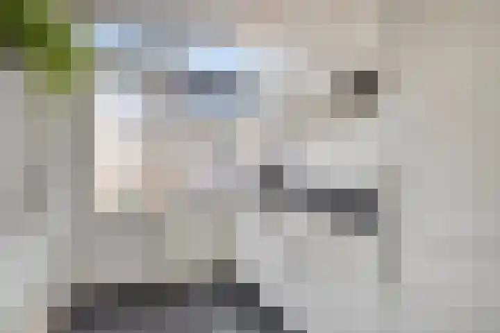 Oude Singel 33 Oudewater thumbnail 9
