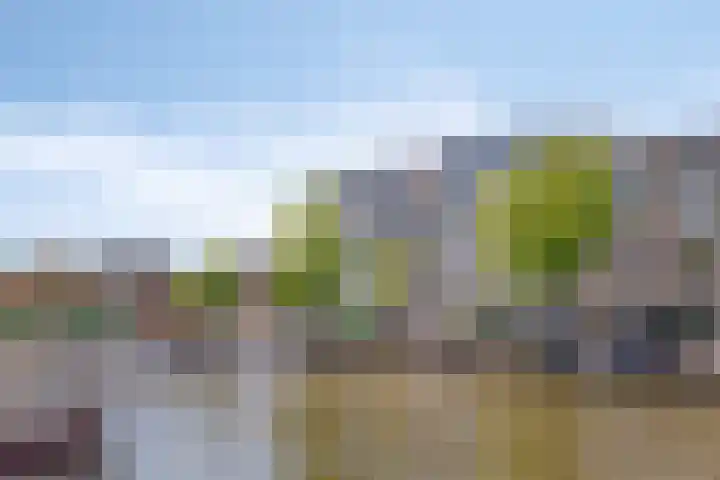 Oude Singel 346 Leiden thumbnail 32