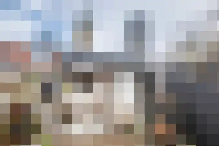 Oude Singel 42 Schoonhoven thumbnail 28