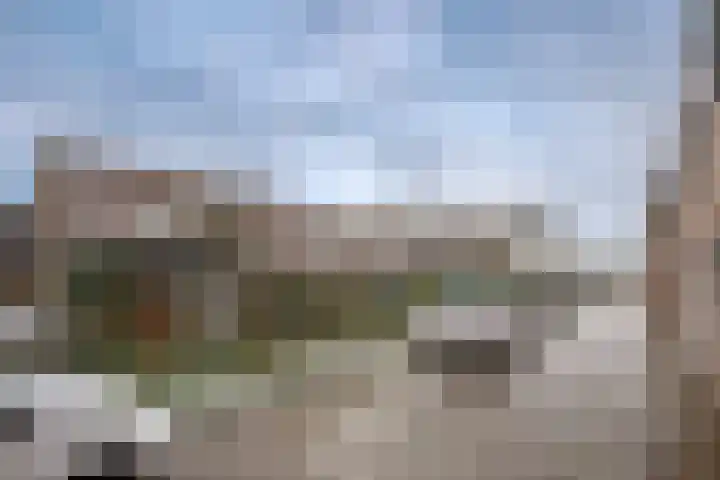 Oude Singel 42 Schoonhoven thumbnail 29