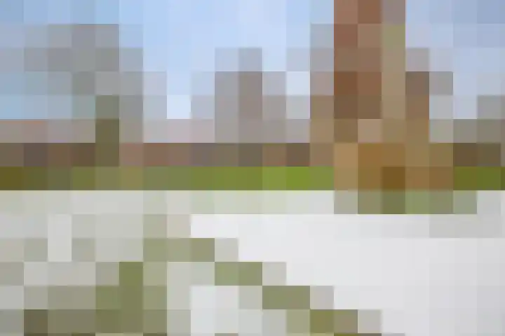Oude Singel 42 Schoonhoven thumbnail 30