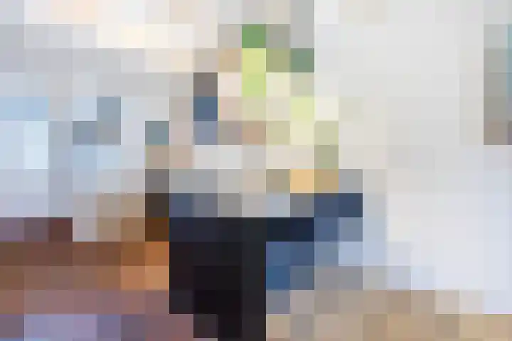 Oude Singel 42 Schoonhoven thumbnail 8