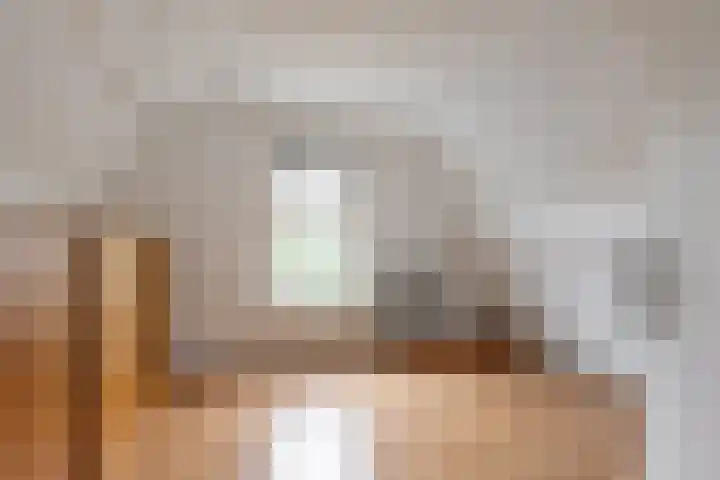 Oude Singel 56 Schoonhoven thumbnail 15