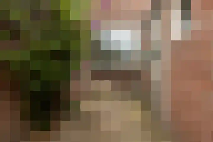 Oude Singel 56 Schoonhoven thumbnail 26